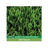 Patchmaster Lawn Repair Mix, Tall Fescue, 4.75-Lbs.