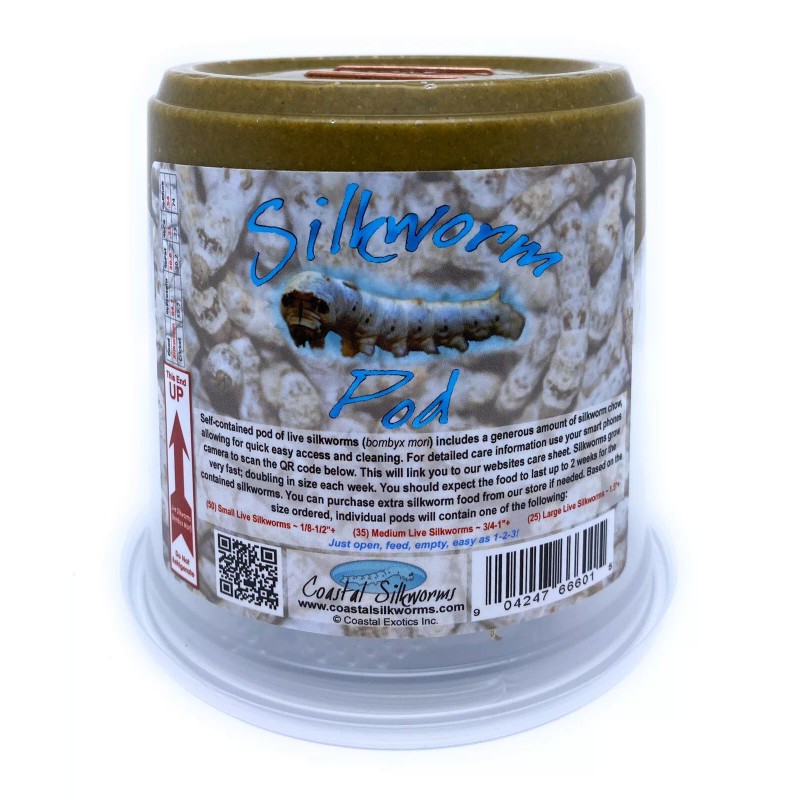 Coastal Silkworms Small Silkworm Pod® (50 Small Live Silkworms &