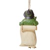Jim Shore Scarecrow Diploma Ho Hanging Ornament