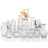 Sawoake 12pcs Mini Bud Vases As Wedding Centerpieces for Tables,Clear
