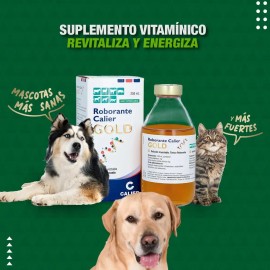 Roborante Calier GOLD 250ml Reconstituyente Metabólico Proteína Animal