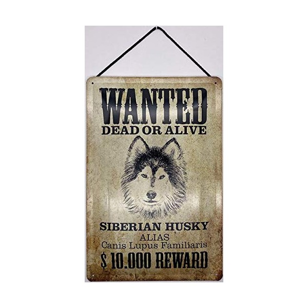 Blechschild With Cord 30 x 20 cm Animal Sign: Wanted