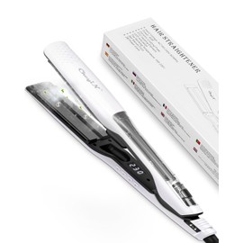 Professioneller Dampfglätter