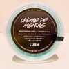 LUSH Mouth Wash, 1.6 oz (45 g) / Mint Flavored