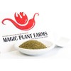 Green Sancho Peppercorn Powder by Fiery Farms – (1 Kg)