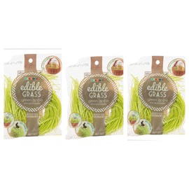 Grandys Candys Edible Easter Grass- Green Apple, Blueberry, Strawberry, & Multi Flavored Bundle-Fun and Delicious Way to Complete Your Easter Baskets (Green Apple) -3 Individual Packages of Green Apple Edible Easter Grass