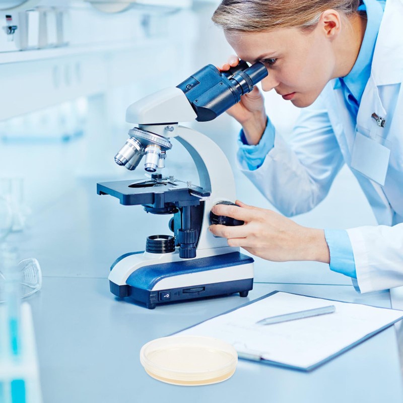 Generic Pre Poured Agar Plates:LB//Agar Plates Pre Poured Nutrient Agar