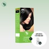 1 TS better dye + 10 6g pouches, random giveaway, No. 3 natural black / TS더착한염색1개+6g파우치10개 램덤증정 3호 자연흑색