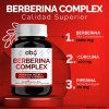 Berberina Hcl 1000mg Potenciada Piperina Curcuma Glucontrol Oby Berberine Complex