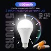 Emergency Rechargeable Led Light Bulb with Hook,Stay Lights Up When