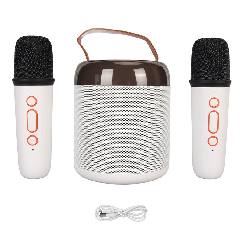 Wireless Karaoke Speakers RGB Light Bluetooth5.3 Speaker with 2 Wireless