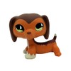 CFCLLBR Mini Pet Toys #675 Popular Brown Savannah Savvy Dachshund