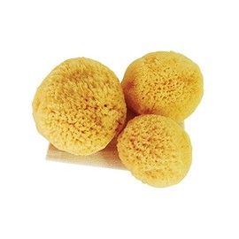 Classic Sea Pearls Reusable Sea Sponges - Multi Size