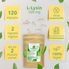L-Lysine Capsules - Bio Protect - 120 Capsules - 500