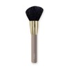 Ferriceratinone Powder Brush