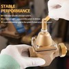 DearChan 1/2 in Bronze Tubular High Capacity Boiler Feed Water