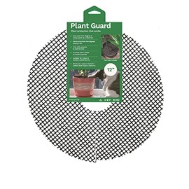 Curtis Wagner Plastics Corp. Plant Guard (12" Diameter, 2-Pack) | Cuttable Flower Grid | Plant Covers from Animals | Soil Cover Protector to Keep Baby from Dirt & Pet Digging | Indoor or Outdoor Use