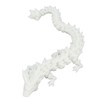 Surprise Dragon Toy Egg 3D Printed High Accuracy Joint Mobile
