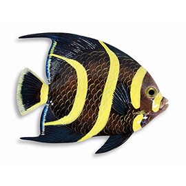 LX Handpainted Tropical Fish Replica Wall Mount Decor Plaque Black Angel 15"