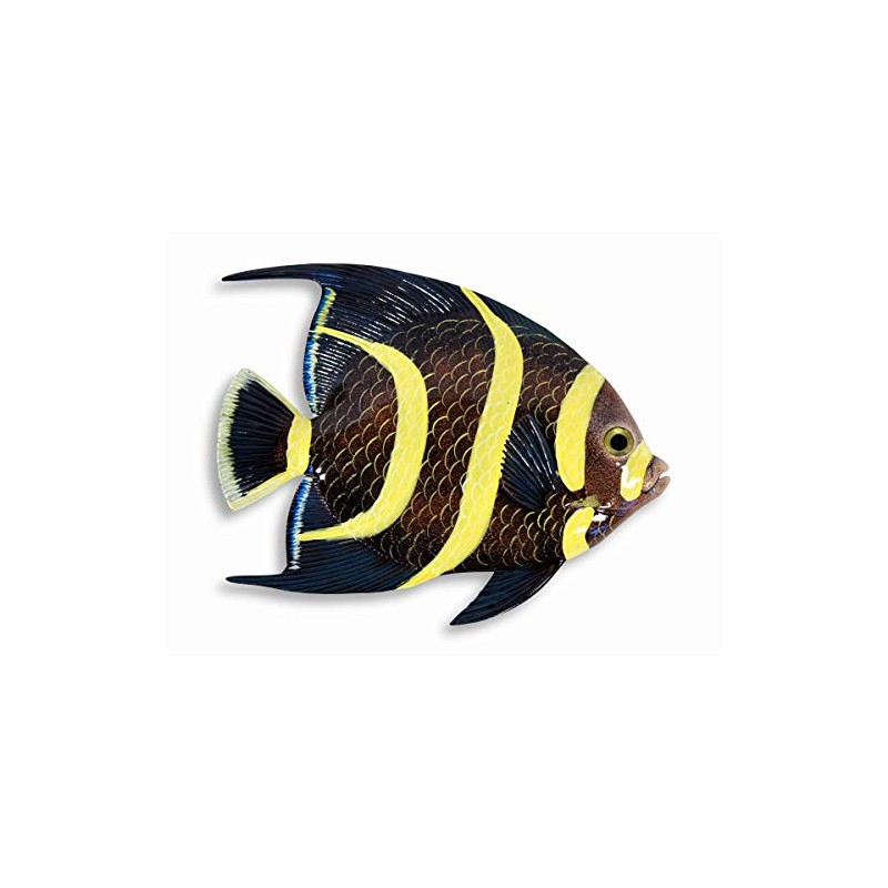 LX Handpainted Tropical Fish Replica Wall Mount Decor Plaque Black