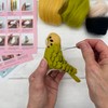 Bergin & Bath Needle Felting kit Budgie. Make a Green