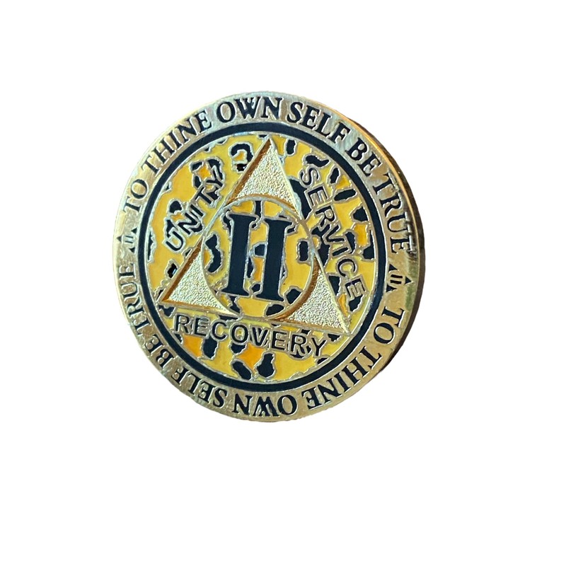 RecoveryChip 2 Year AA Medallion Reflex Leopard Gold Plated Animal