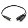 35SF-35SF2 Audio Distribution Cable (3.5mm Stereo (Female) and 2 x