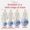 Primasole Fitness Ball 45CM Pale Gray