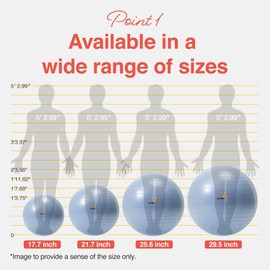 Primasole Fitness Ball 45CM Pale Gray