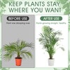 Honeydak 18 Pack Monstera Plant Support Plant Support Stakes for
