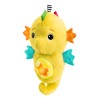 Peluche Baby Einstein Sea Dreams Caballito De Mar Musical