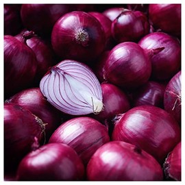 Everwilde Farms - 1 Lb Ruby Red Onion Seeds - Gold Vault