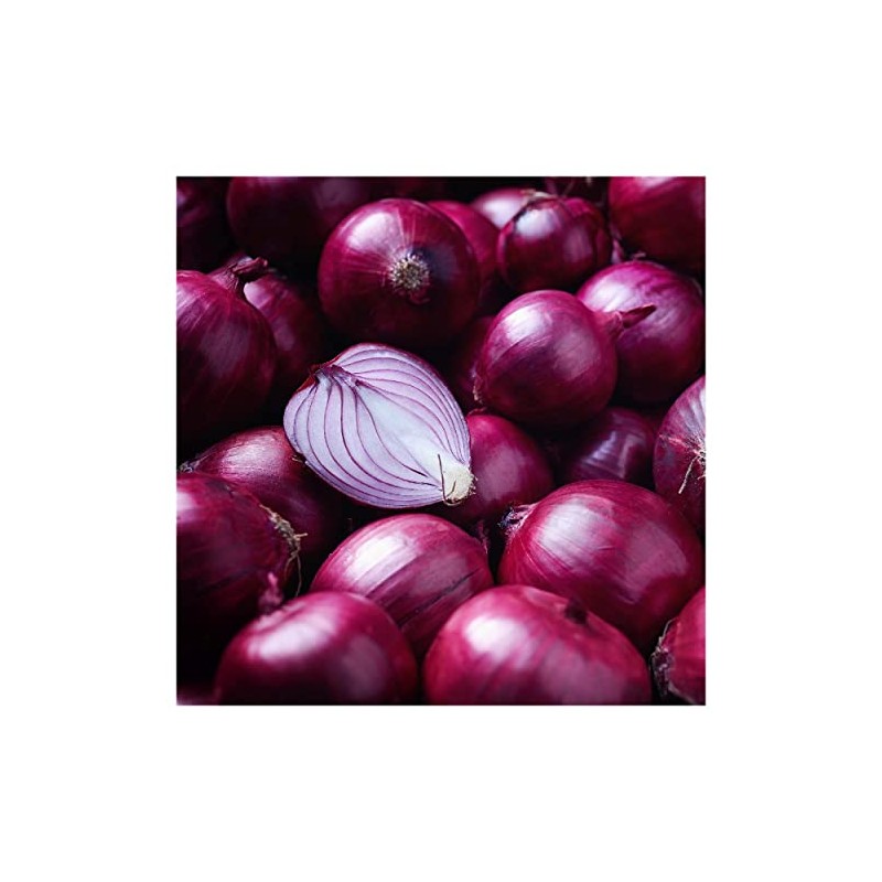 Everwilde Farms - 1 Lb Ruby Red Onion Seeds -