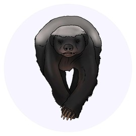 24 x 40mm Round 'Honey Badger' Stickers (SK00053238)