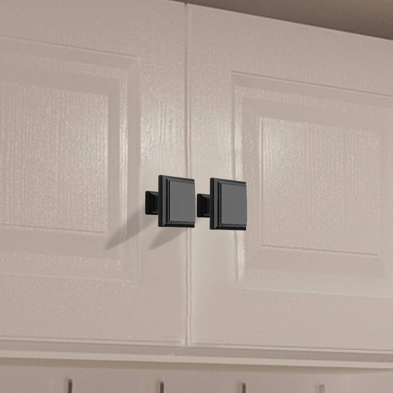 goldenwarm Black Dresser Knobs Kitchen Cupboard Knobs - 10 Pack