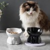 AIMALL Ergonomic Ceramic Cat Bowl - Elevated Cat and Dog