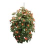 Nutley's Hanging Tomato Planter Growbags Indoor/Outdoor (1)