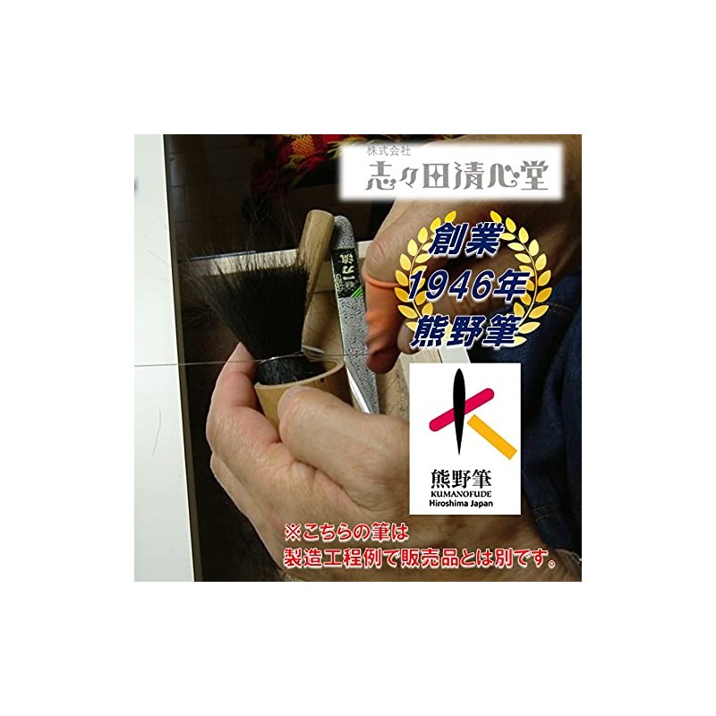 Shishida Seishindo Kumano Lip Brush Automatic, 100% Natural Horse Hair,