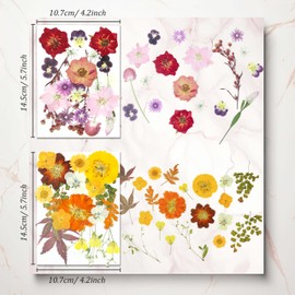 QVQQ Multiple Pressed Flowers for Resin Molds Carfts Jewerlry Beauty Makeup Art Decor 80pcs Hand-Made Dried Flowers for Candle Making, Scrapbook Supplies Soap Making DIY with 1 Tweezers