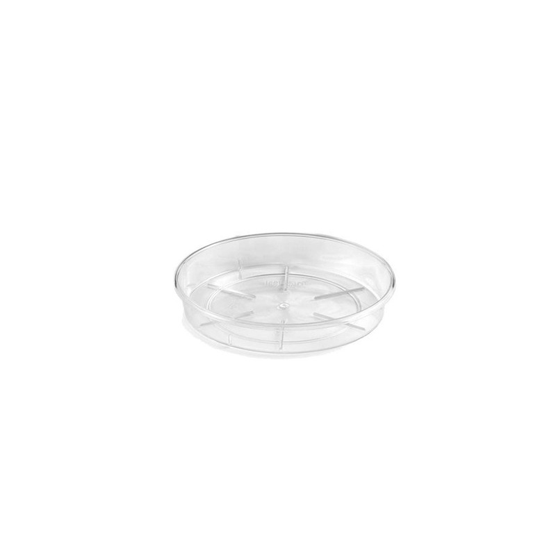 TERAPLAST Porto Clear Orchid Vase with 4 Drainage Holes Vase
