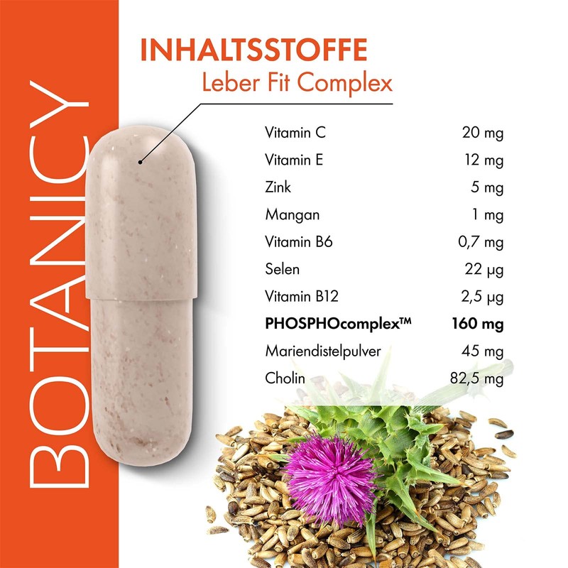 Leber Fit Complex, High-dose Complex from the Brand Raw Material