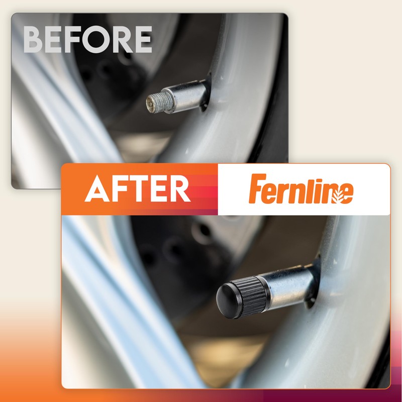 Fernline Tyre Valve Caps – 10 Pack Black Stem Covers