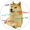 Shiba Inu Calm Down Such Tone Wow - 3 Pack