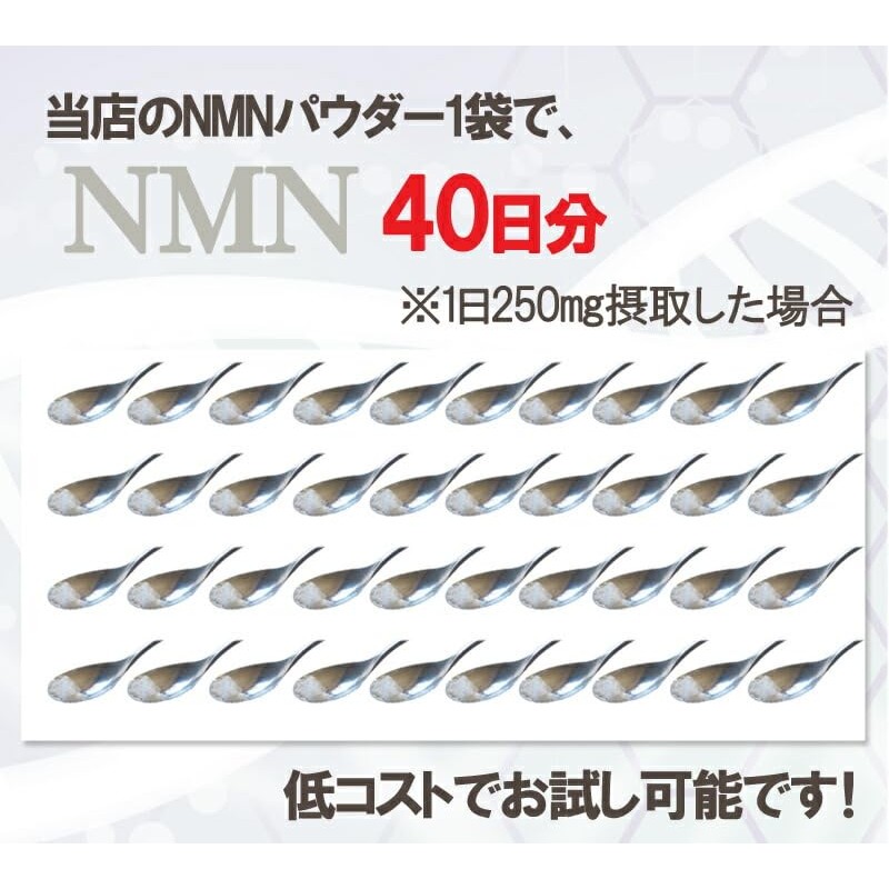 NMNパウダー10g NMN10000mg分 ニコチンアミドモノヌクレオチド エヌエムエヌ 純度100% サプリメント エイジングケア 高純度 高濃度