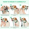 Ezierfy Dog Head Collar, Printed No-Pull Headcollar, Adjustable Dog Head