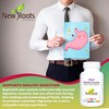 NEW ROOTS HERBAL New Roots Herbal Plant Digestive Enzymes 60