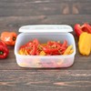 Willmax EMBALANCE Storage Container, Rectangular Container, M (20.3 fl oz