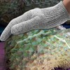 [CINECE] Work Gloves, Blade-proof, Dedicated Gloves, Non-Cut, Non-slip, Disaster Prevention,