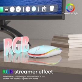 Halpilt LED Wireless Mouse A100S Rechargeable Portable Silent Mouse with Optional USB and Type-C Receiver 3-Speed Adjustable DPI for PC/Mac/Laptop (Frosted Blue)