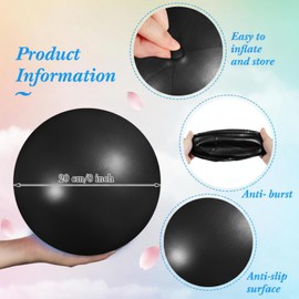 10 Pack 9 Inch Small Pilates Ball Bulk Mini Exercise Ball Portable Non-slip Workout Yoga Balls with Air Pump for Stability, Barre, Fitness, Balance, Physical &Core, Gym Home Office Use(Gray,Black)